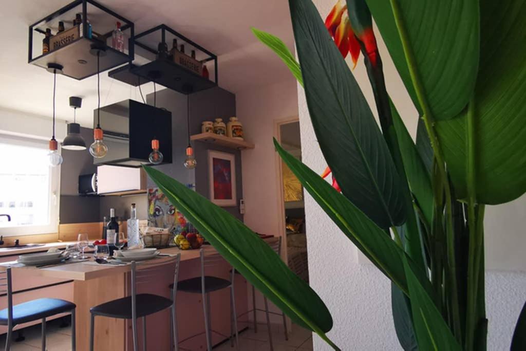Apartment Premium, Proche Faculte & Centre Ideal Digital Nomad